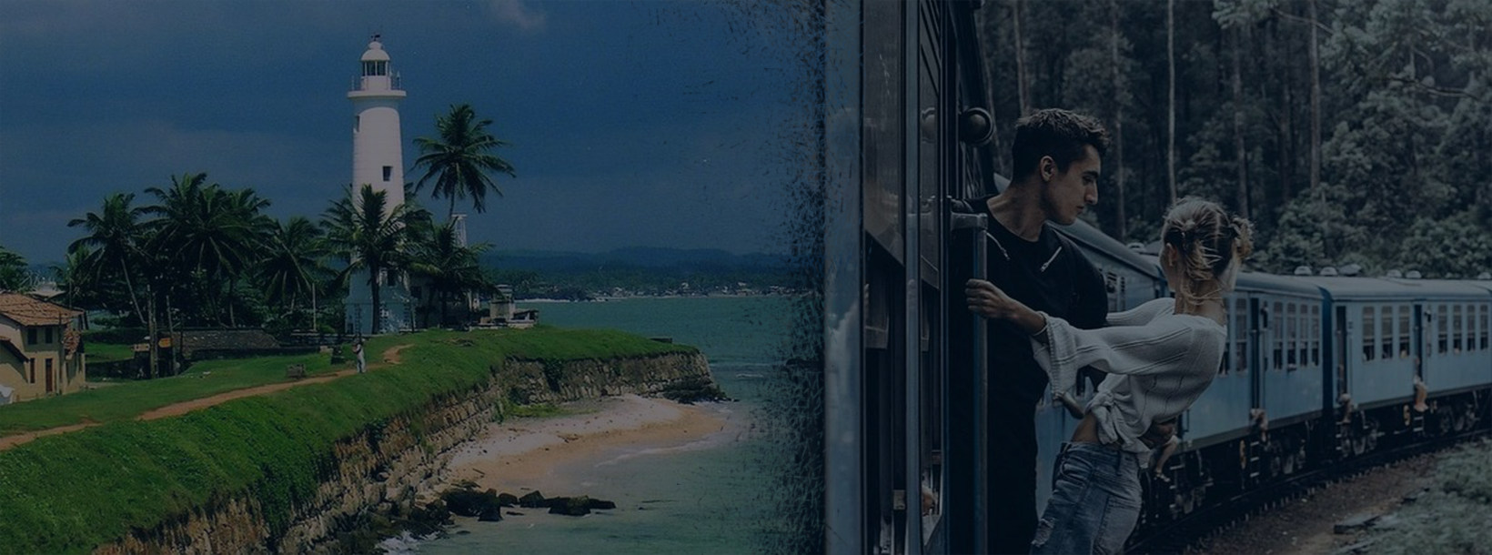 Sri Lanka coastal road with palm trees